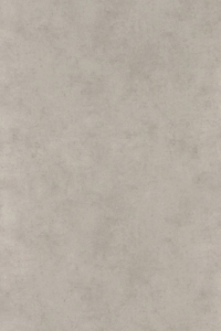 Grey Concrete Prime Grey Concrete Prime